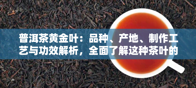 普洱茶黄金叶：品种、产地、制作工艺与功效解析，全面了解这种茶叶的秘密