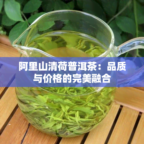 阿里山清荷普洱茶：品质与价格的完美融合