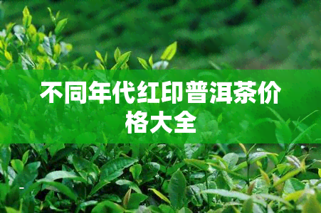 不同年代红印普洱茶价格大全