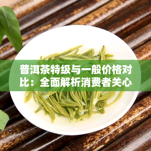 普洱茶特级与一般价格对比：全面解析消费者关心的茶叶价格问题