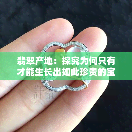 翡翠产地：探究为何只有才能生长出如此珍贵的宝石？