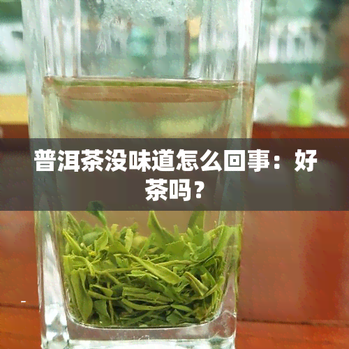 普洱茶没味道怎么回事：好茶吗？