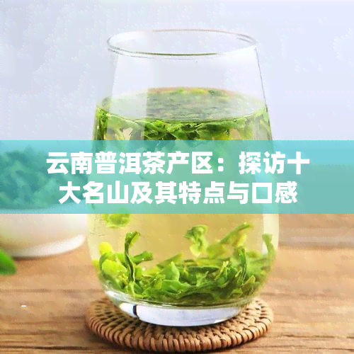 云南普洱茶产区：探访十大名山及其特点与口感