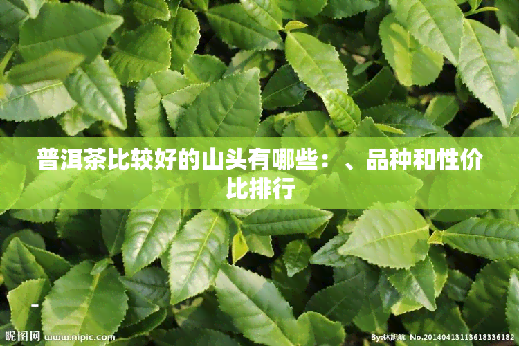 普洱茶比较好的山头有哪些：、品种和性价比排行