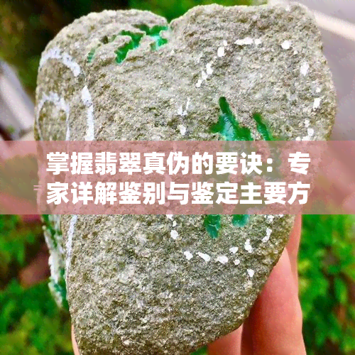 掌握翡翠真伪的要诀：专家详解鉴别与鉴定主要方法