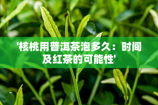 '核桃用普洱茶泡多久：时间及红茶的可能性'