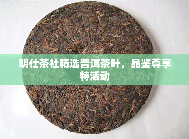 明仕茶社精选普洱茶叶，品鉴尊享特活动