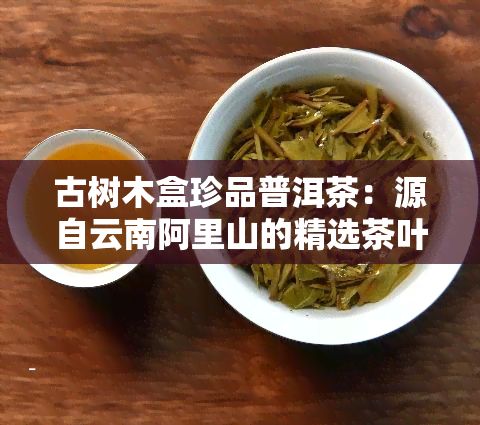 古树木盒珍品普洱茶：源自云南阿里山的精选茶叶与木制艺术完美融合