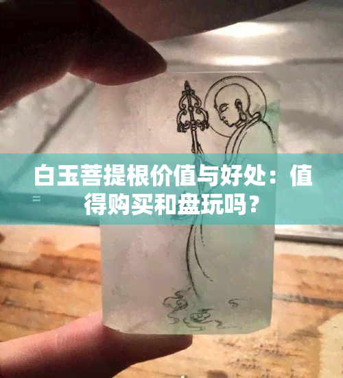 白玉菩提根价值与好处：值得购买和盘玩吗？