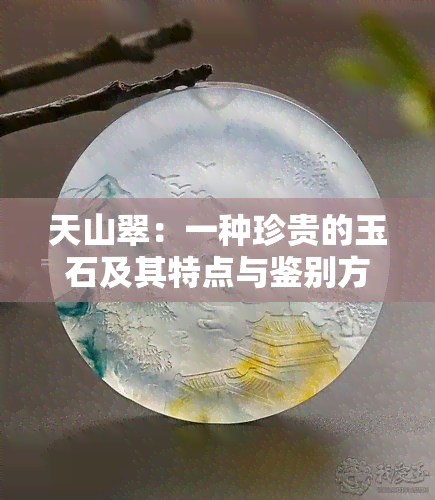 天山翠：一种珍贵的玉石及其特点与鉴别方法全面解析