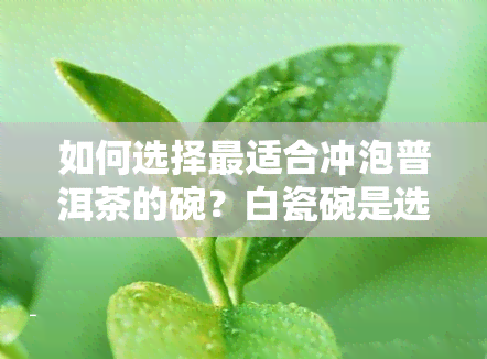 如何选择最适合冲泡普洱茶的碗？白瓷碗是选择吗？