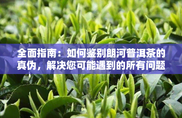 全面指南：如何鉴别朗河普洱茶的真伪，解决您可能遇到的所有问题