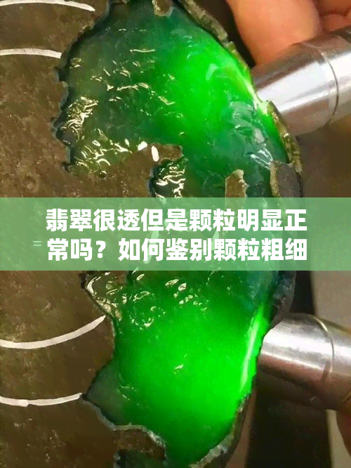 翡翠很透但是颗粒明显正常吗？如何鉴别颗粒粗细与透明度的关系？