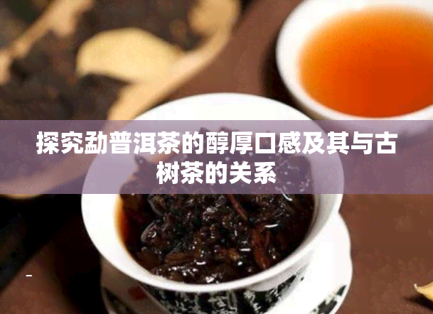 探究勐普洱茶的醇厚口感及其与古树茶的关系