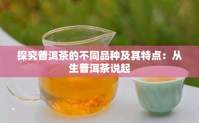 探究普洱茶的不同品种及其特点：从生普洱茶说起