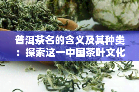 普洱茶名的含义及其种类：探索这一中国茶叶文化的深度和广度