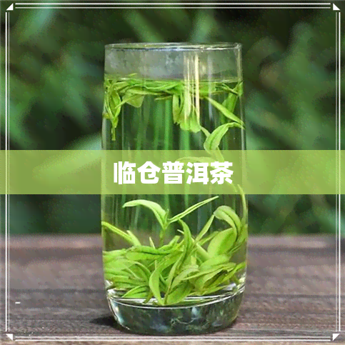 临仓普洱茶