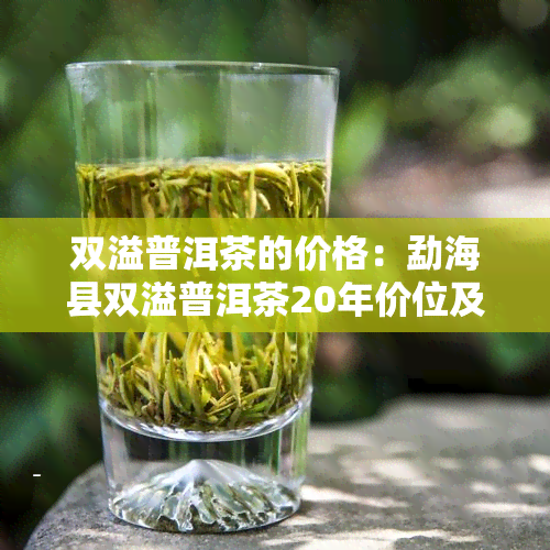 双溢普洱茶的价格：勐海县双溢普洱茶20年价位及简介，双益普洱茶怎么样？