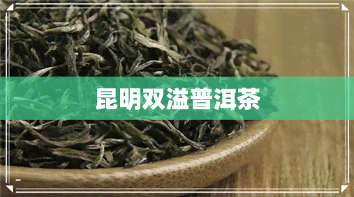 昆明双溢普洱茶