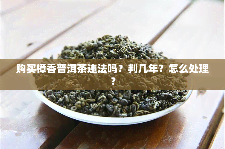 购买樟香普洱茶违法吗？判几年？怎么处理？