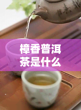 樟香普洱茶是什么意思？好喝吗？有什么功效？