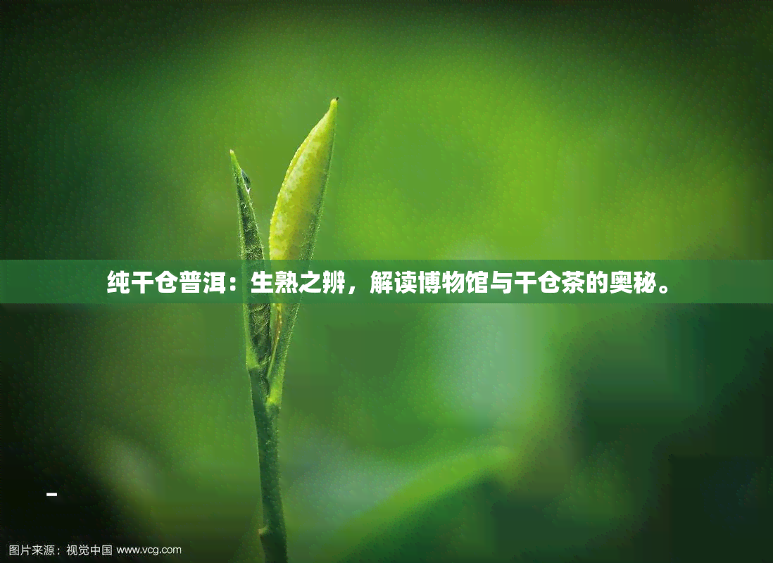 纯干仓普洱：生熟之辨，解读博物馆与干仓茶的奥秘。