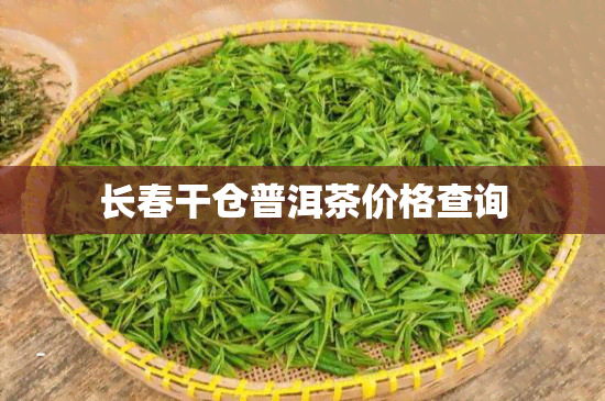 长春干仓普洱茶价格查询