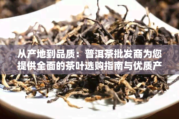 从产地到品质：普洱茶批发商为您提供全面的茶叶选购指南与优质产品