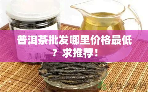 普洱茶批发哪里价格更低？求推荐！