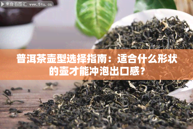 普洱茶壶型选择指南：适合什么形状的壶才能冲泡出口感？