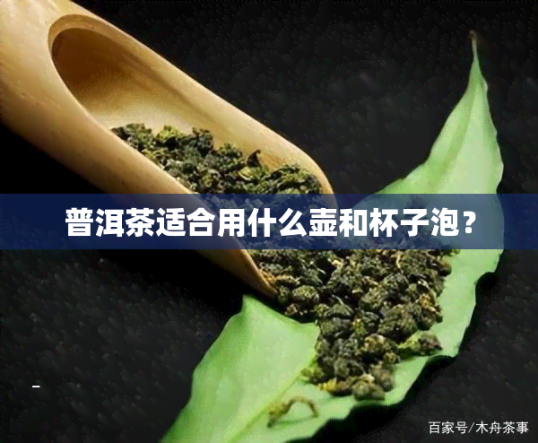 普洱茶适合用什么壶和杯子泡？