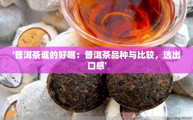 '普洱茶谁的好喝：普洱茶品种与比较，选出口感'