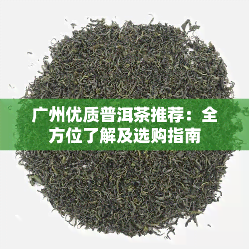 广州优质普洱茶推荐：全方位了解及选购指南