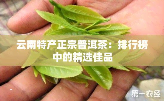 云南特产正宗普洱茶：排行榜中的精选佳品