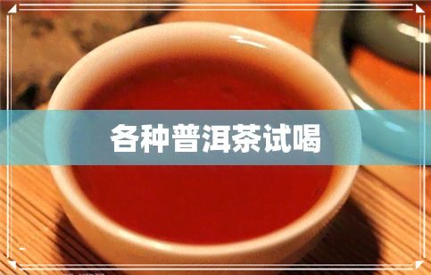 各种普洱茶试喝