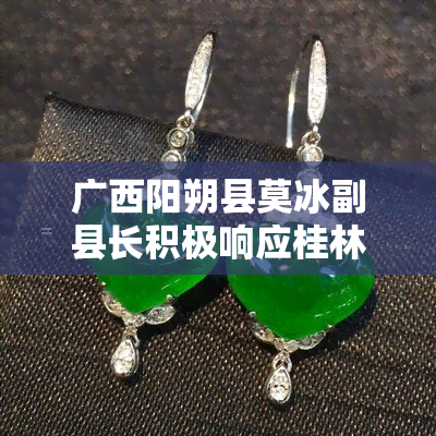 广西阳朔县莫冰副县长积极响应桂林市 *** 的审查调查，展现出卓越领导力