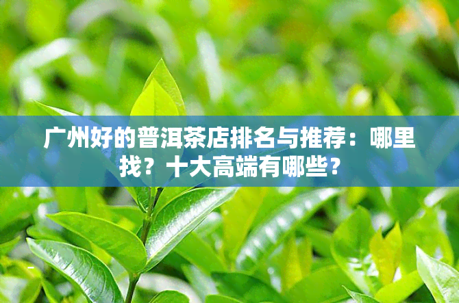 广州好的普洱茶店排名与推荐：哪里找？十大高端有哪些？