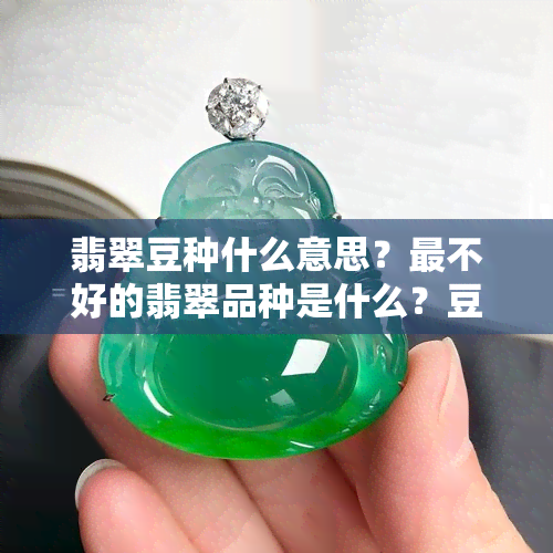 翡翠豆种什么意思？最不好的翡翠品种是什么？豆种翡翠详解。