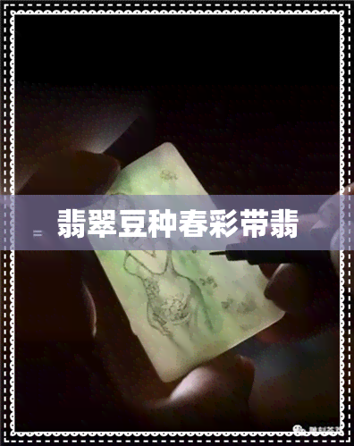 翡翠豆种春彩带翡