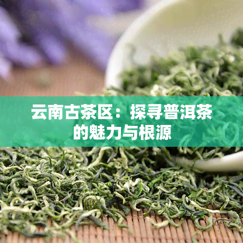 云南古茶区：探寻普洱茶的魅力与根源