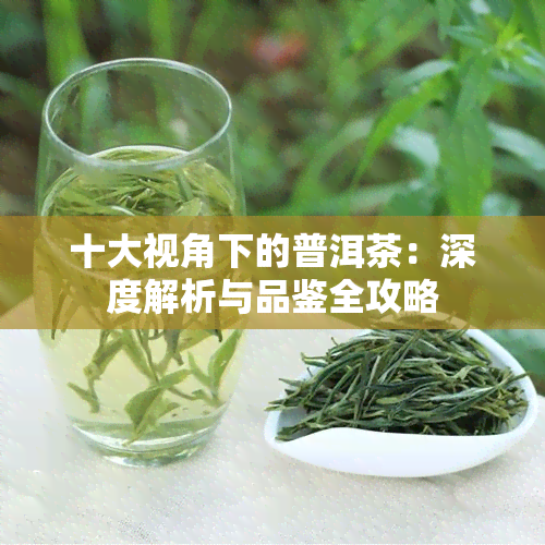 十大视角下的普洱茶：深度解析与品鉴全攻略