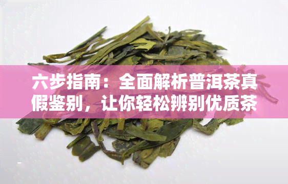 六步指南：全面解析普洱茶真假鉴别，让你轻松辨别优质茶叶