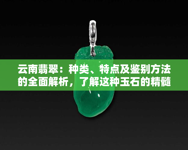 云南翡翠：种类、特点及鉴别方法的全面解析，了解这种玉石的精髓就在这里！