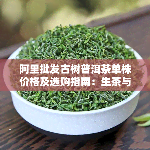 阿里批发古树普洱茶单株价格及选购指南：生茶与熟茶的差异详解