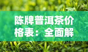 陈牌普洱茶价格表：全面解析各类产品的价格区间，助您轻松选购心仪好茶