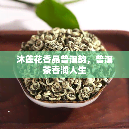 沐莲花香品普洱韵，普洱茶香润人生