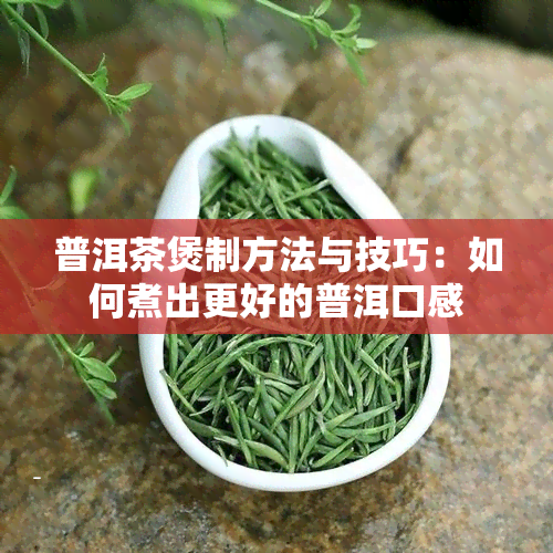 普洱茶煲制方法与技巧：如何煮出更好的普洱口感