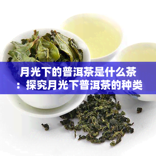 月光下的普洱茶是什么茶：探究月光下普洱茶的种类与特点