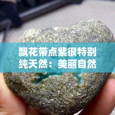 飘花带点紫很特别纯天然：美丽自然的魅力展现