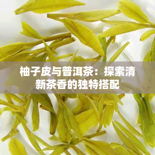 柚子皮与普洱茶：探索清新茶香的独特搭配